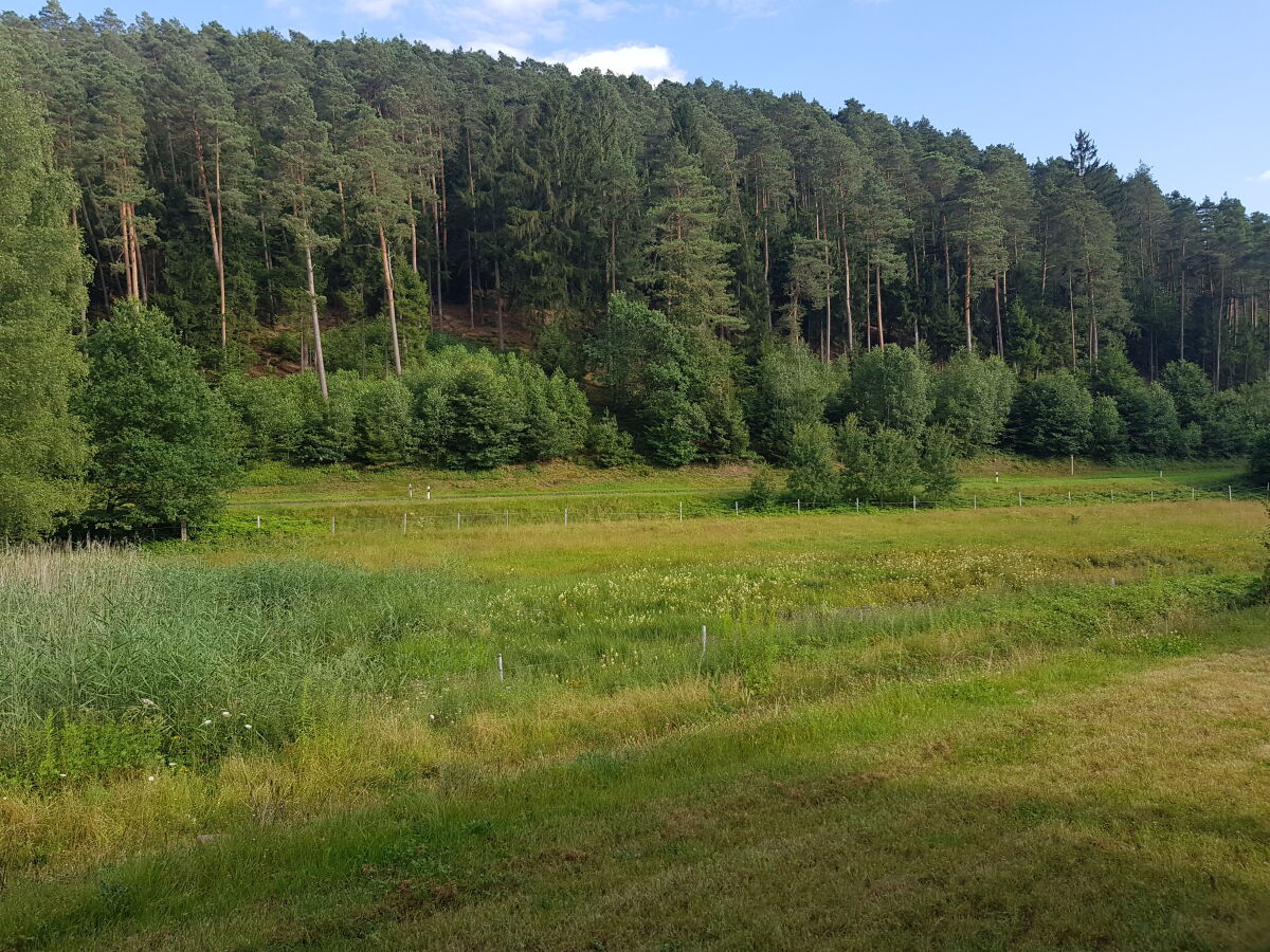 Garten - Aussicht