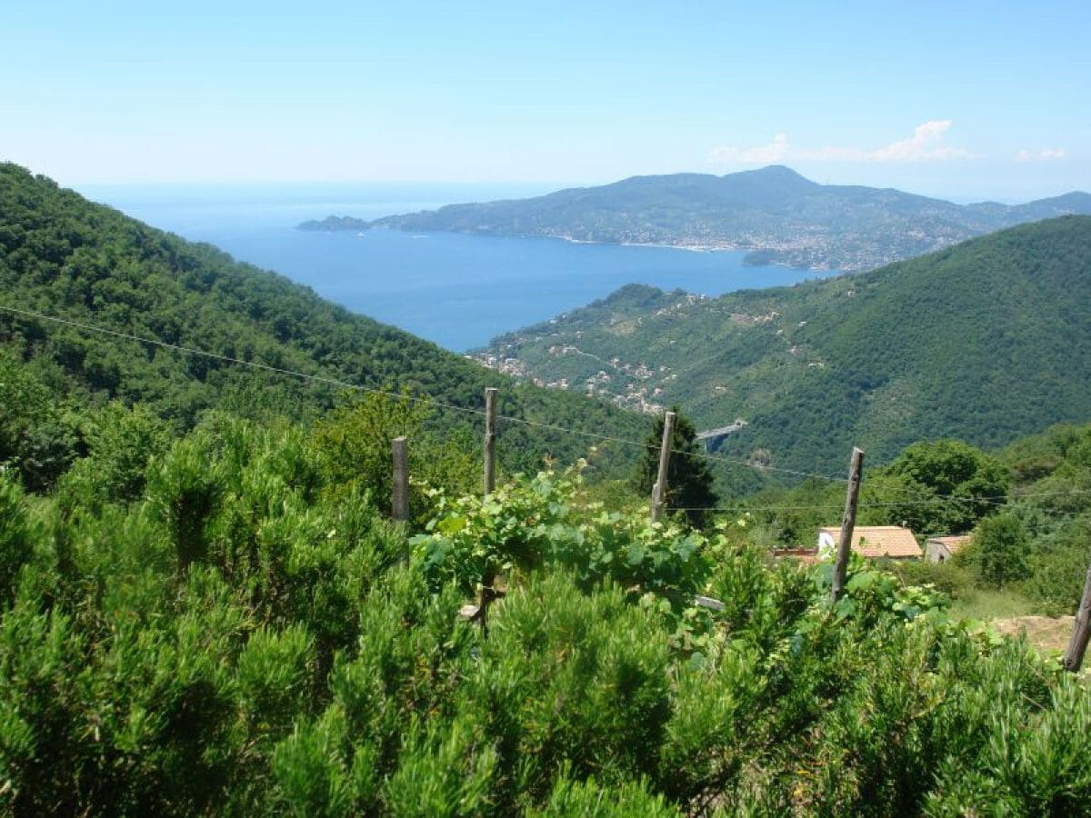 Ferienhaus San Colombano Certenoli Außenaufnahme 6