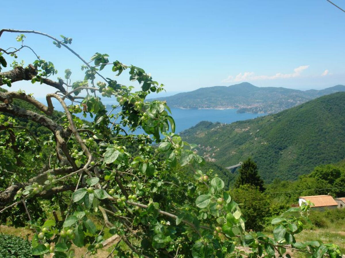 Ferienhaus San Colombano Certenoli Umgebung 20