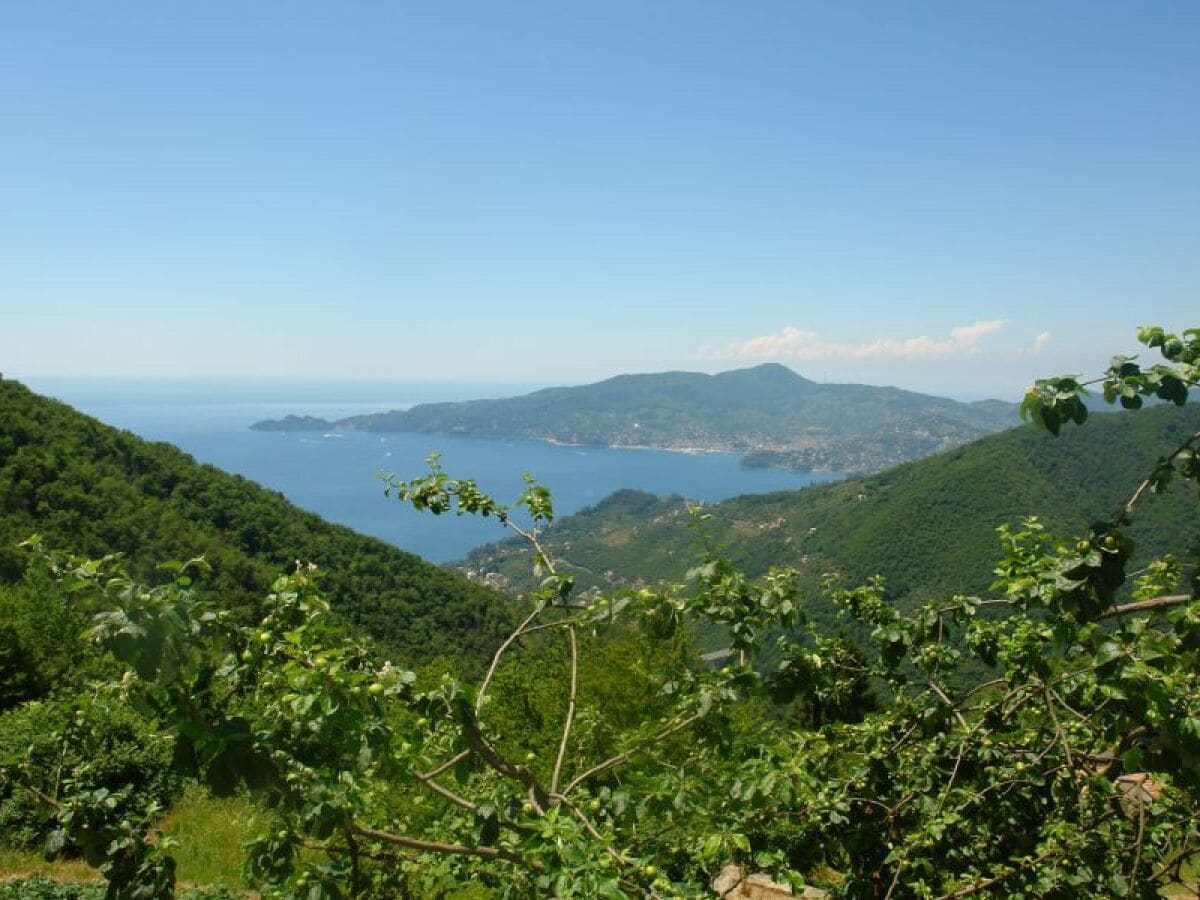 Ferienhaus San Colombano Certenoli Umgebung 21