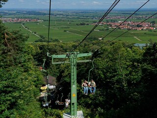 Vakantiehuis St. Martin in der Pfalz Omgeving 11