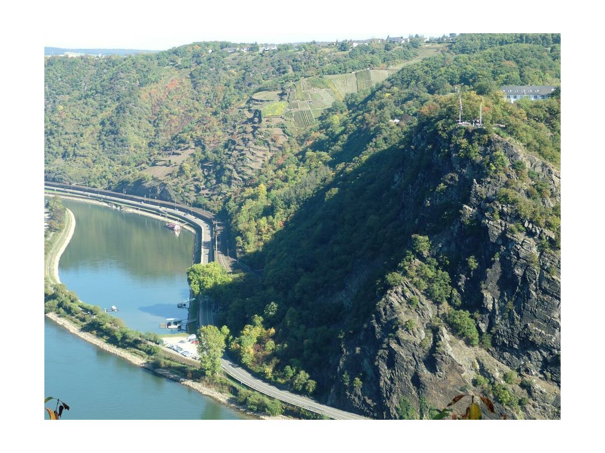 Loreley am Rhein