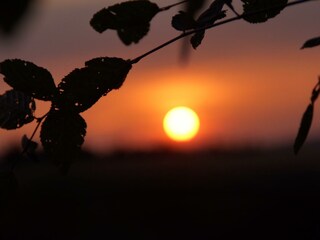 180442DF-98A6-49E8-80F5-31D847552736