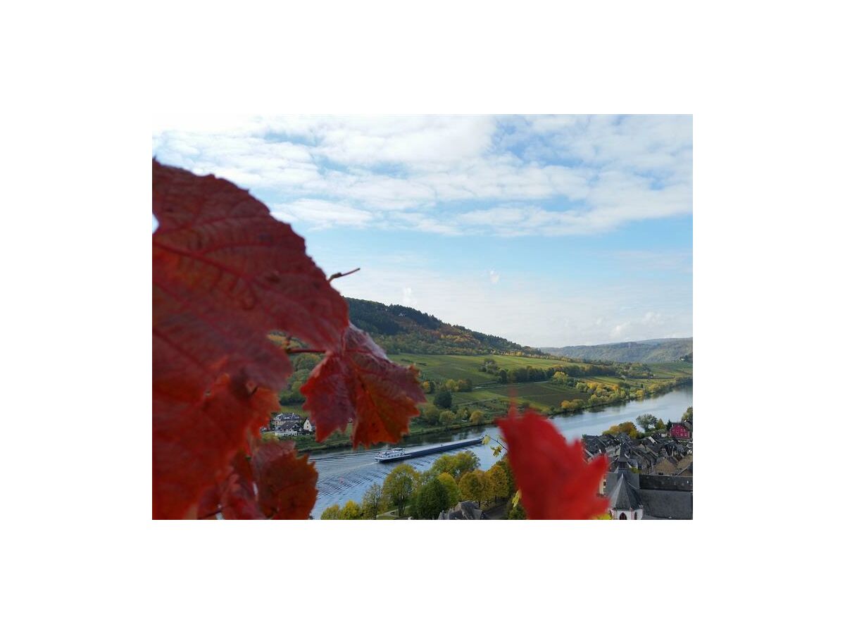 Mosel bei Zell