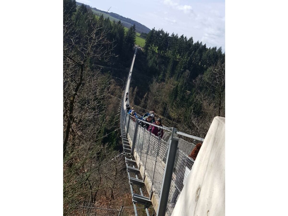 Hängeseilbrücke Geierley