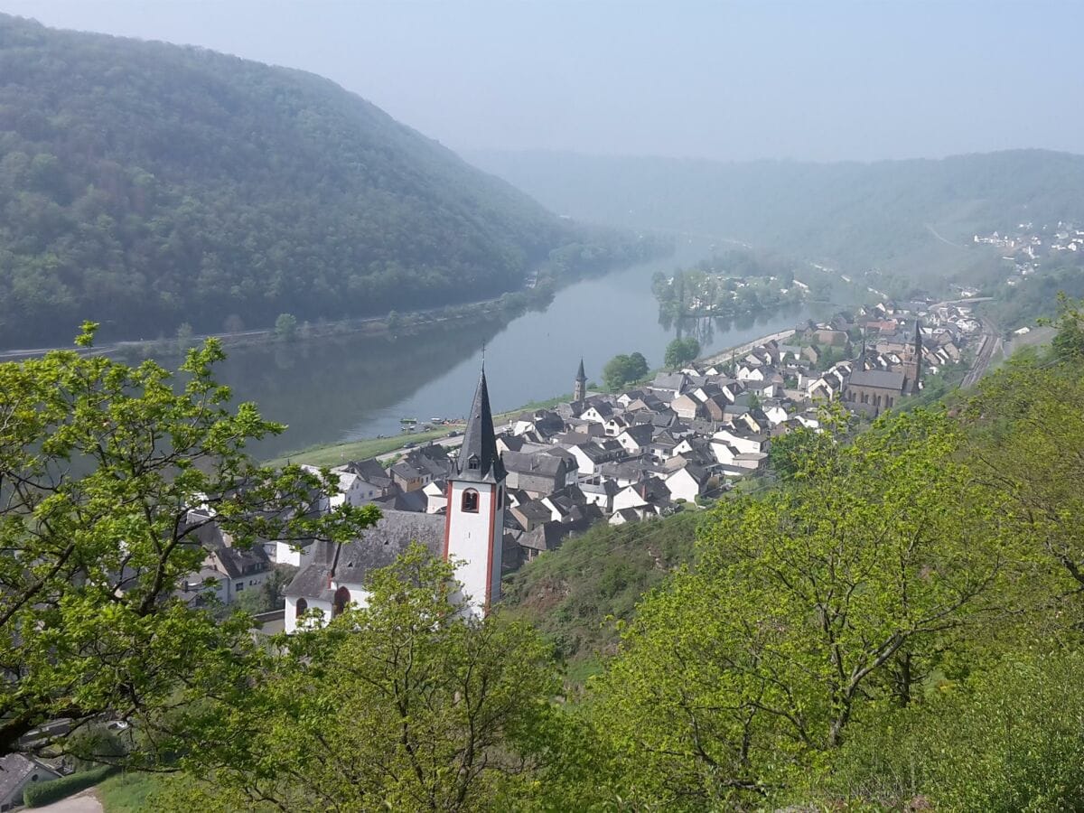 Blick auf die Mosel