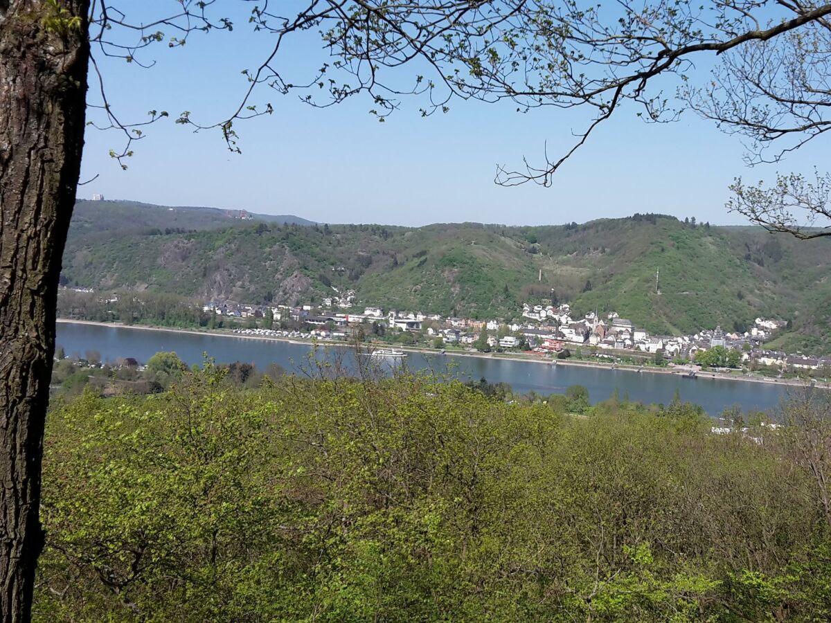 20Blick auf den Rhein190421_152142