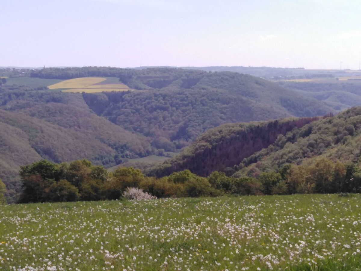 Hügellandschaft des Hunsrücks