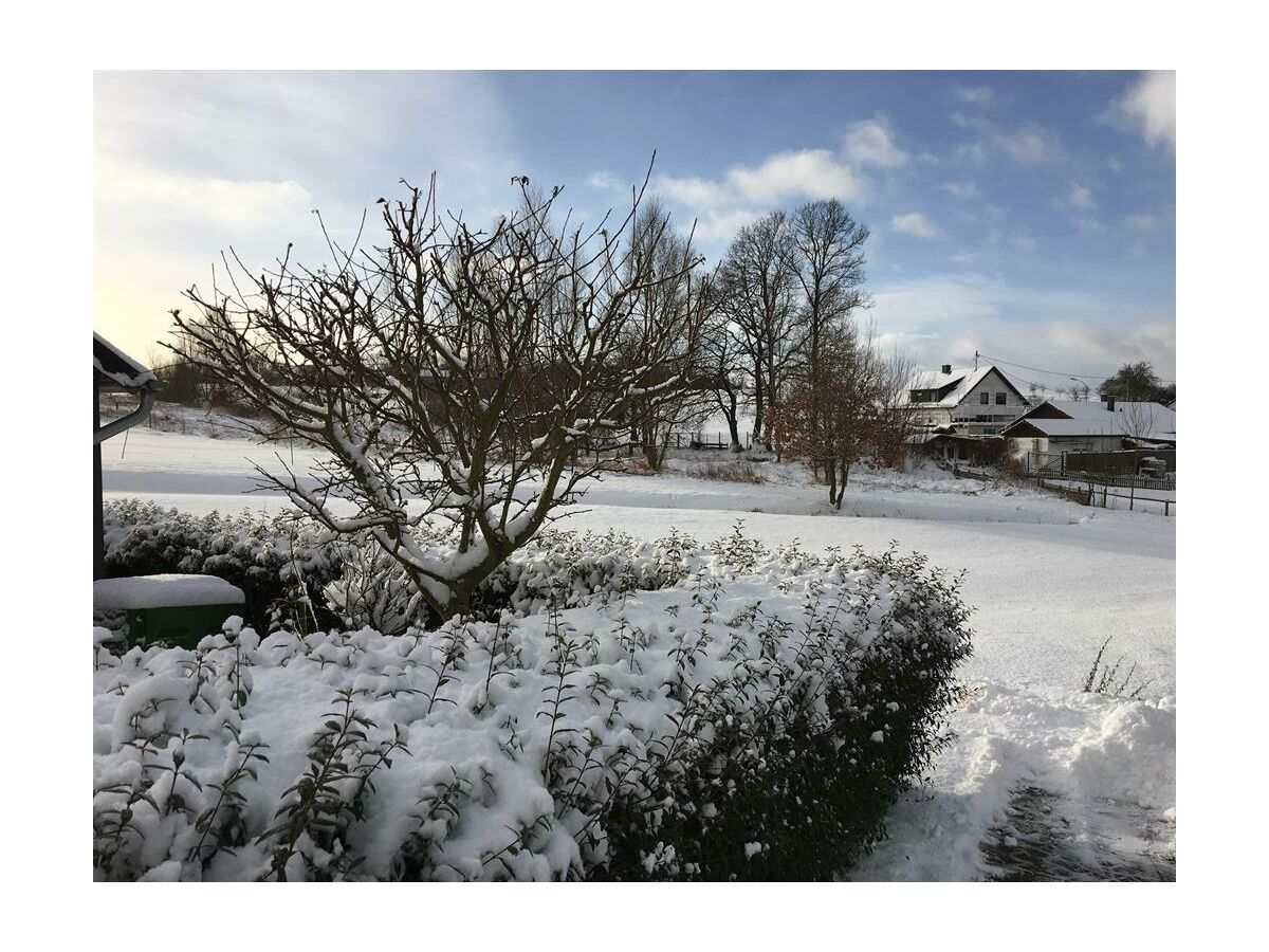 Ihr Garten im Winter