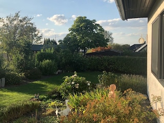 Blick in den Garten