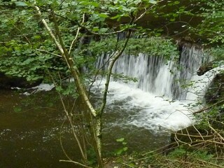 Das Baybachtal - Tolle Wanderwege