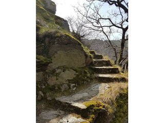 Seitensprung Graf-Georg-Johannes