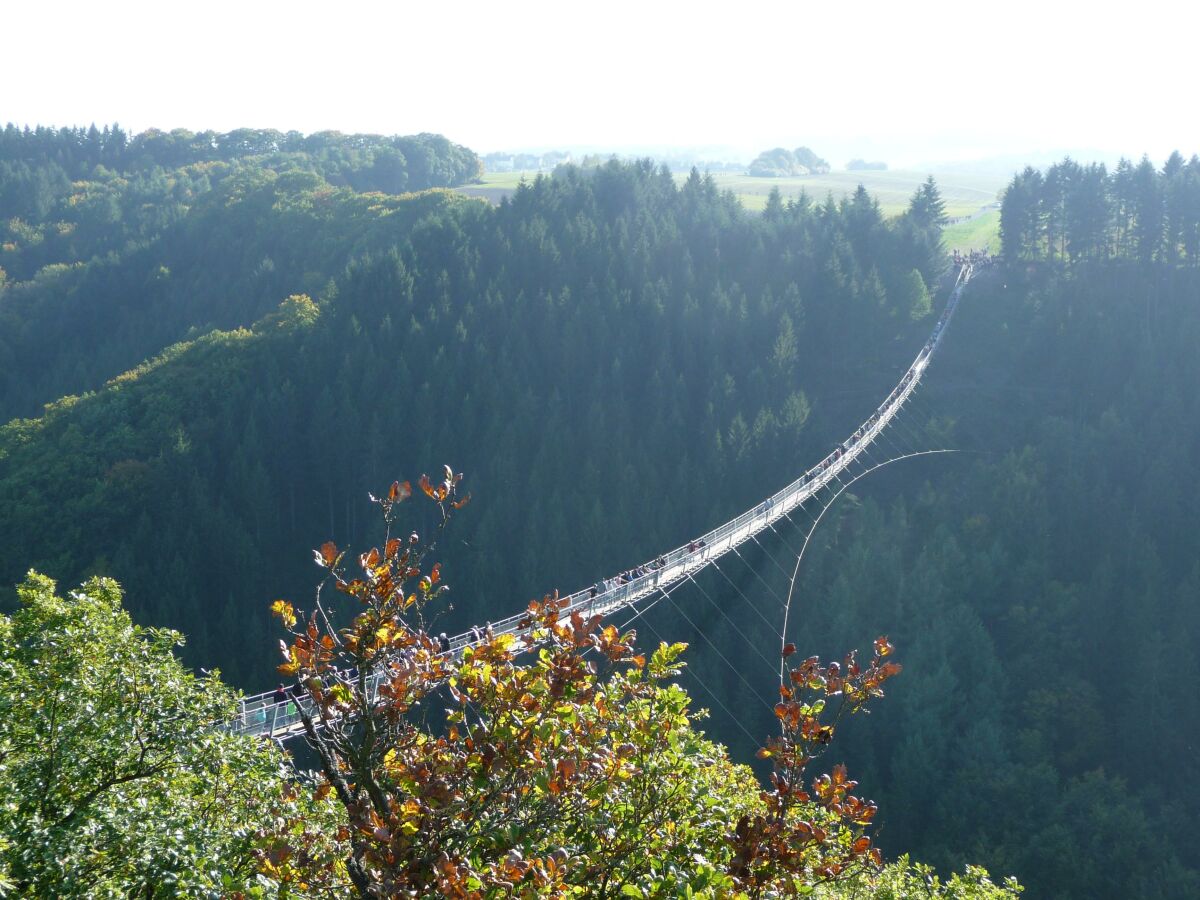 17-Hängeseilbrücke