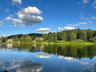 Ferienwohnung Hahnenklee Umgebung 29