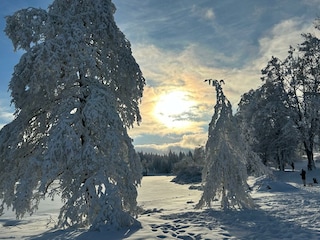 Winterzauber im Kurpark Hahnenklee