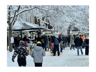 Ferienwohnung Hahnenklee Umgebung 34