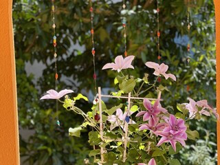 Holiday apartment Unteruhldingen Outdoor Recording 7