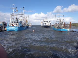 Fährhafen auf Nordstrand
