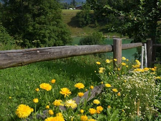 Annas Garten