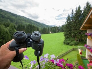 AUSBLICK