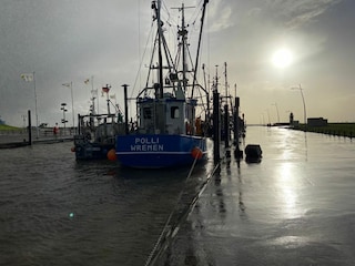 Kutterhafen bei Hochwasser