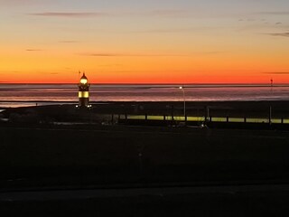Kleiner Preuße bei Sonnenuntergang