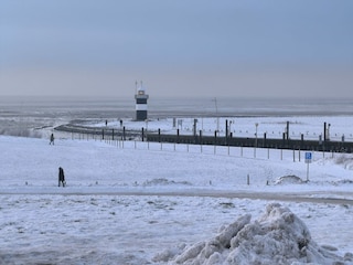 Kleiner Preuße im Winter