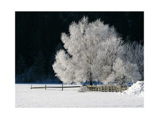 Winterlandschaft Obervellach