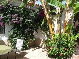 Villa Cartaya Registrazione all'aperto 6