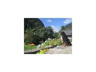 Hunde willkommen!