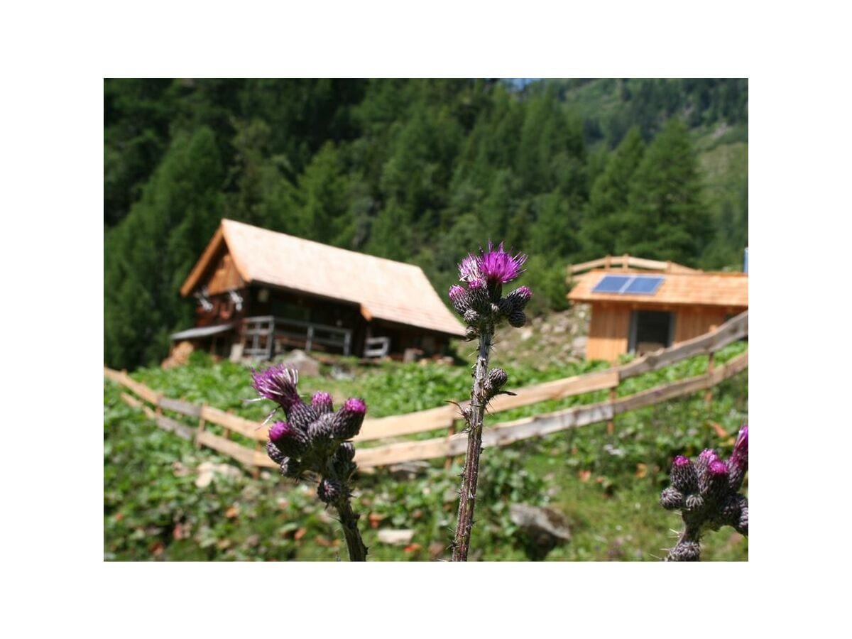 Landgut Moserhof Almhütte Ploatschtratten