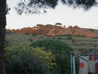 Maison de vacances Porto Azzurro Environnement 19