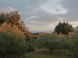 Maison de vacances Porto Azzurro Environnement 20