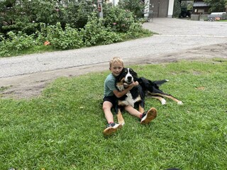 Hofhund Bella