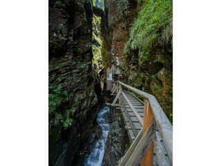 315-20 ©FRANZGERDL NPHT-Flattach _7906