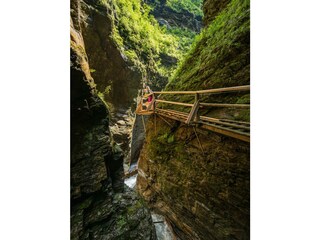 332-20 ©FRANZGERDL NPHT-Flattach _8021