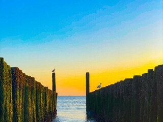 Camera per vacanze Vlissingen Ambiente 14