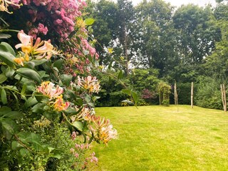 Casa per le vacanze Oostkapelle Registrazione all'aperto 8