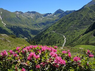 Sölkpass