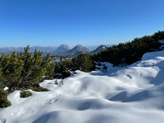 Winter im Ennstal