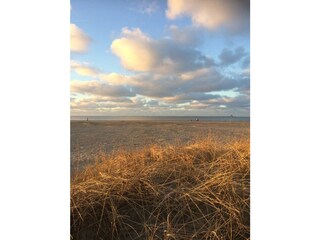 Vakantiehuis Krummhörn Omgeving 31