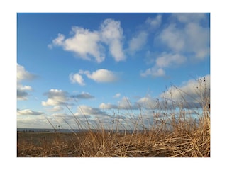 Maison de vacances Krummhörn Environnement 32