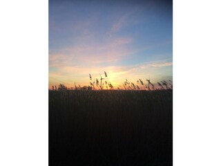 Maison de vacances Krummhörn Environnement 34