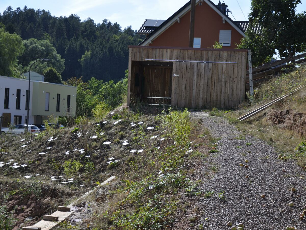 Blick auf den Garten