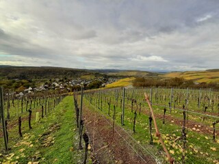 wandern Sie von der Wohnung aus