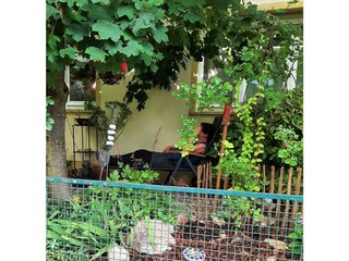 Ferienwohnung Burgzauber, Wiltingen (01)