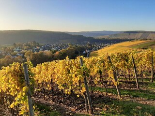 Wiltingen im goldenen Herbst