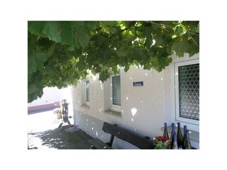 Weingut-Ferienwohnung Jungblut (3)