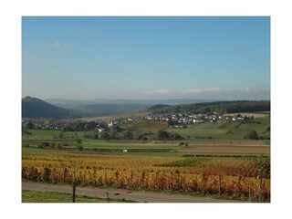 Weingut-Ferienwohnung Jungblut (6)