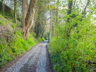 Villa Brüssel Ambiente 35